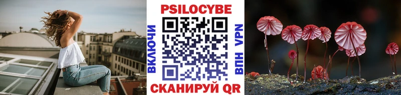 Псилоцибиновые грибы прущие грибы Северодвинск